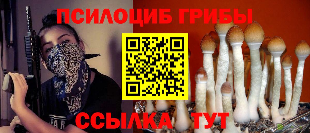 Галлюциногенные грибы Magic Shrooms  Вход с VPN  Асино 